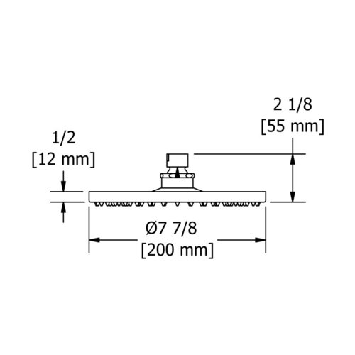 Riobel 2.0 GPM 8" Rain Shower Head & Reviews Wayfair